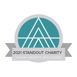 2021 Standout Charity by Animal Charity Evaluators